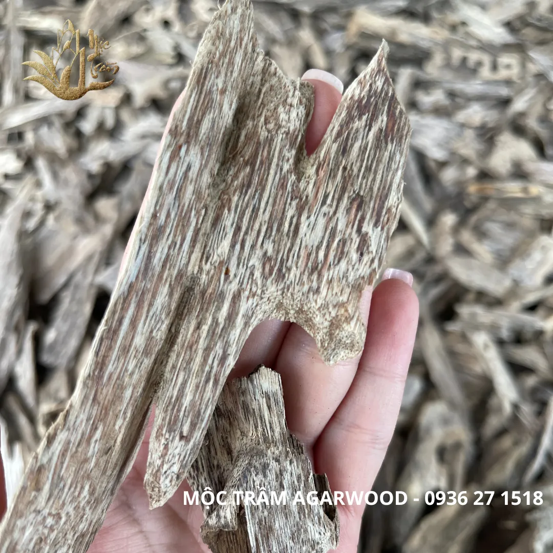 Natural Vietnamese Kien Xi Agarwood Chips – Resinous Oud Pieces (Multiple Weights Available)